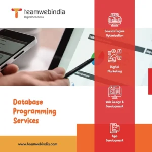 Database Programming Services