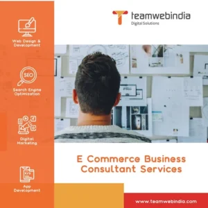 E Commerce Business Consultant Services