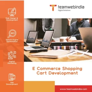 e-commerce shopping cart-development